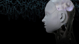Chatbots Decoded